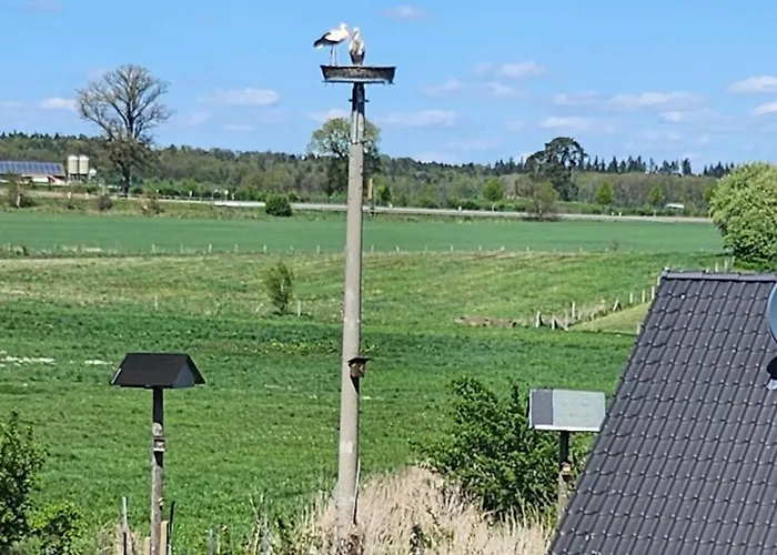 Appartement Landwohnung Finckener *